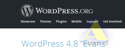 WordPress 4.8 Evans. Что нового?