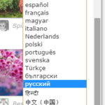 Jigsaw Planet поддерживает много языков
